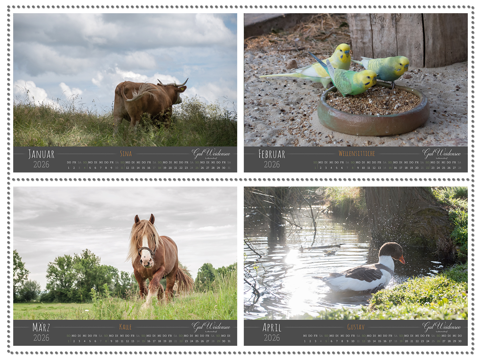 Kalender 2026 – Bild 2