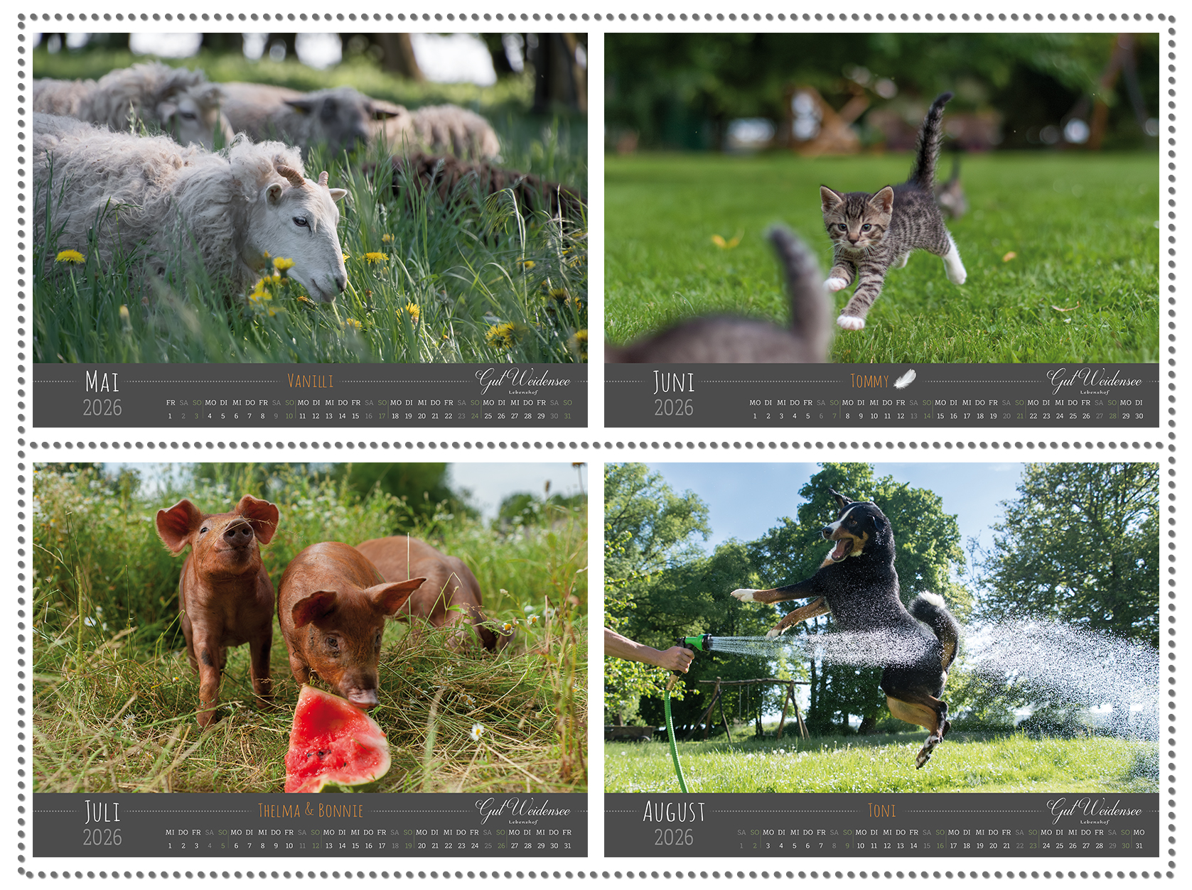 Kalender 2026 – Bild 3