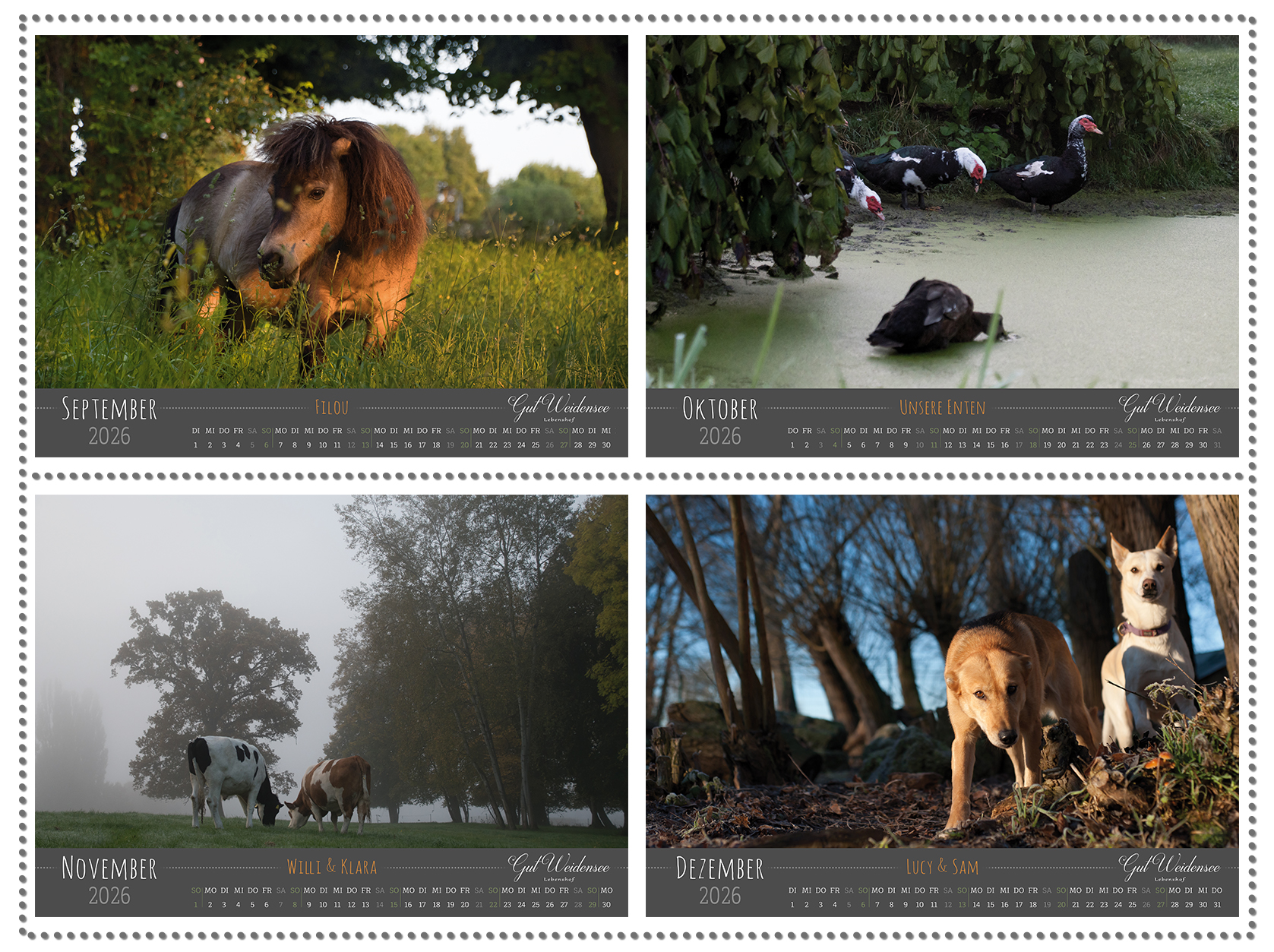 Kalender 2026 – Bild 4