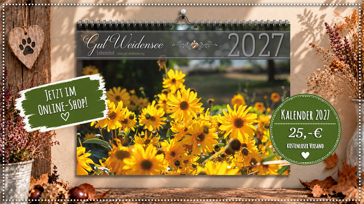 Lebenshof-Kalender 2027