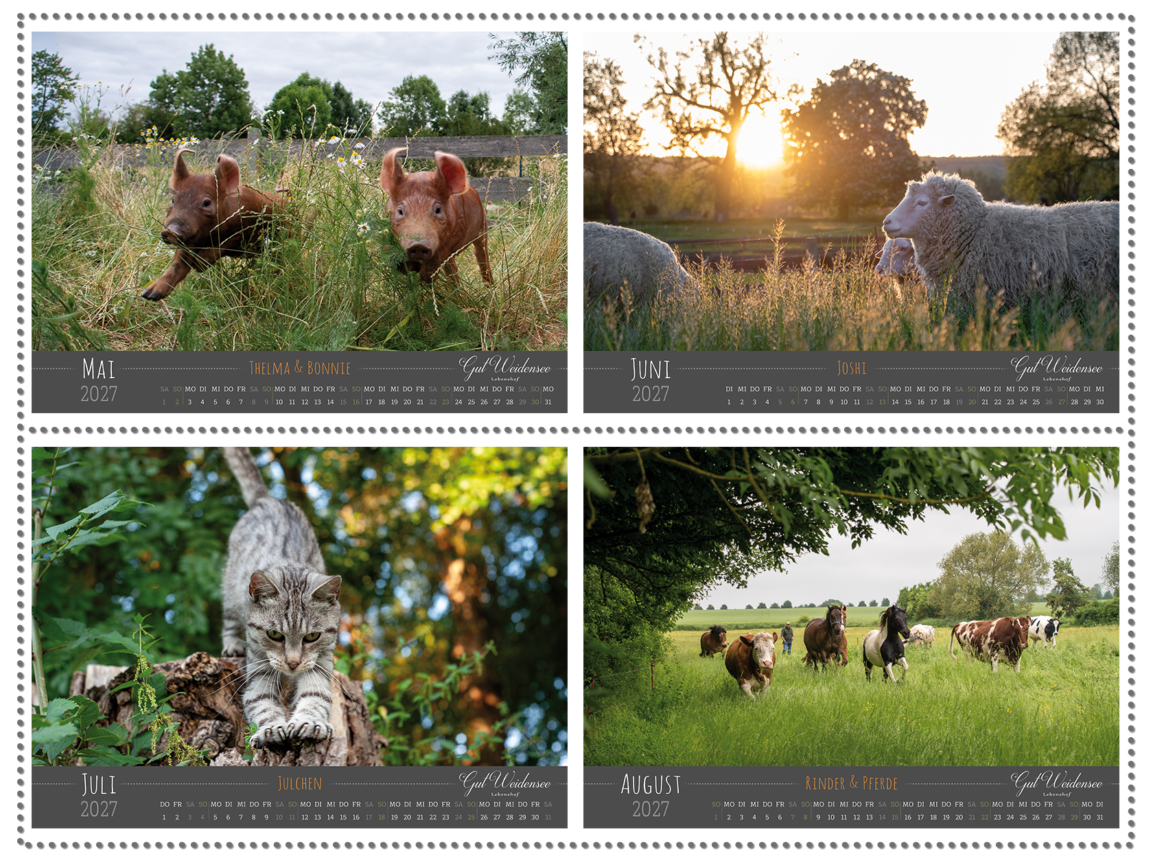 Lebenshof-Kalender 2027 – Bild 3