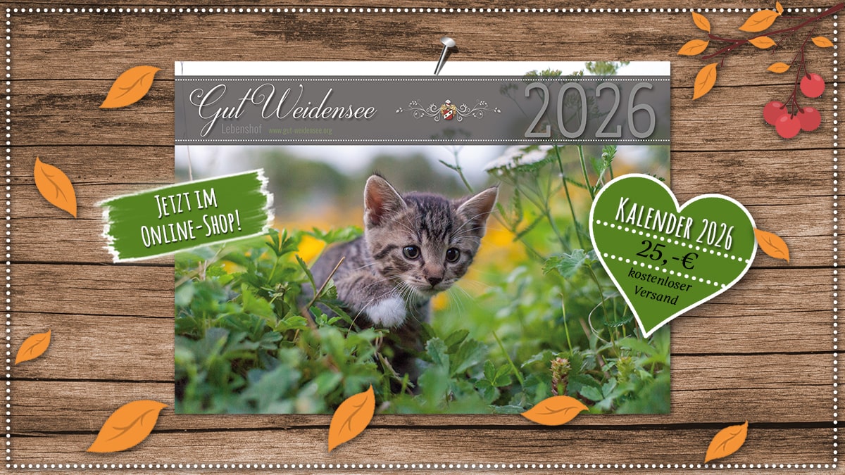 Kalender 2026